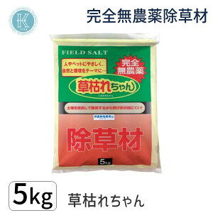 y[݌ɕiz4936980520695 ͂ꂿ 5kg S_򏜑 _knp  {  lƃybgɗD ̂| ꂿ G΍  Uz |   ƒ