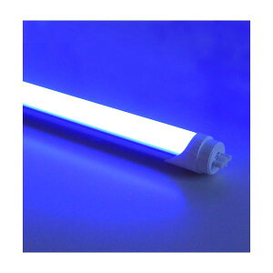 y11/25IIōő100|CgobNzyF1zHK40B2  sE[J[s G13FLEDu40^