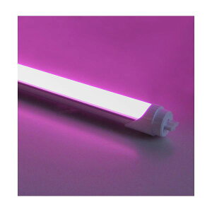 yF1zHKK20P  sE[J[s G13sNFLEDu20^