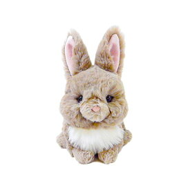 楽天市場 ミニ レッキス おもちゃ の通販