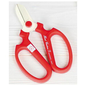 4900686011429 y6z nhNG[V F170 p ԁyLZsz