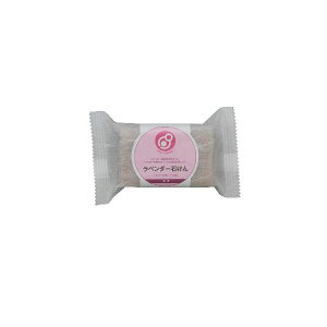 y11/25IIōő100|CgobNz4907226001704 y48z x_[΂ ѕyLZsz