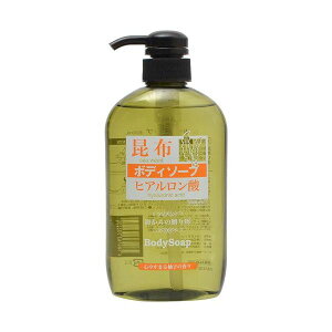 4580163532250 �y120���z ���z�{�f�B�\�[�v 600ml�y�L�����Z���s�z