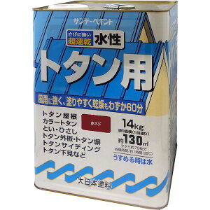 y12/5IIōő100|CgobNzTf[yCg 4906754040124 g^ph Ԃ 14K ԎK g^phA SPg^A AJTr sundaypaint ԃTrF