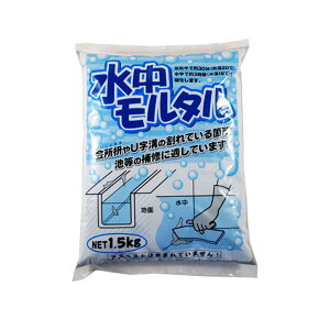 y11/10IIōő100|CgobNzƒ뉻wH 4905488135373 ^ JeC|209813 O[ kateikagaku Zg Cpi Kateikagakukogyo