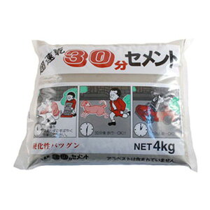 家庭化学工業 4905488301044 30分セメント カテイ−209852 グレー kateikagaku 補修用品【キャンセル不可】