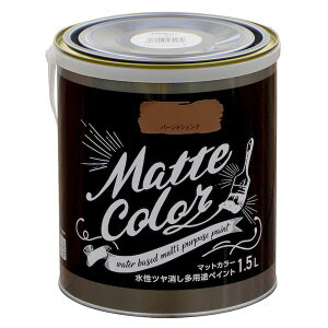 y11/25IIōő100|CgobNzATqy 4970925470089 pryCg }bgJ[ 1D5L o[gVFi cpryCg pr}bgJ[ c