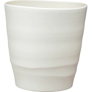 AbvEFA[ 4905980114517 AgG|bg 30^WH zCg vX`bN Jo[