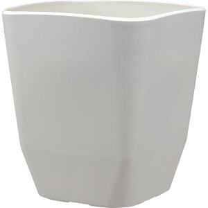 AbvEFA[ 4905980115118 AgGXNGA 290^WH zCg Jo[ yʂŊɂ vX`bN vXeBbN |bgJo[ K[fjO