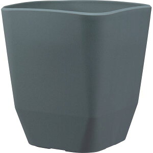 y12/5IIōő100|CgobNzAbvEFA[ 4905980115125 AgGXNGA 290^DG _[NO[ Jo[ v^[nK[ yʂŊɂ vX`bN vXeB