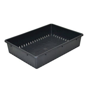 AbvEFA[ 4905980303140 c51^X~O[ Ԃ؂̎܂ AbvEGA K[fjO vX`bN K[fpi c͔| | ؉ _