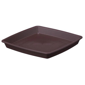 AbvEFA[ 4905980432383 NtgXNGAv[g 30^DBR _[NuE M vX`bNM 󂯎M