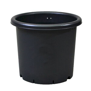 AbvEFA[ 4905980977082 e8BK ubN vX`bN v