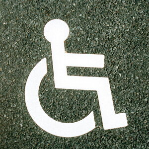 y12/5IIōő100|CgobNzAgnEXyCg 4971544036915 tATC ۃV{}[N 40CMx50CM AgyCg AgT|[g