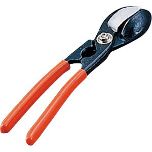 y11/25IIōő100|CgobNz4948862170140 Ge[g}c 葢N~ SN~ GXP[JlO Ȃ񊄌p SSN~