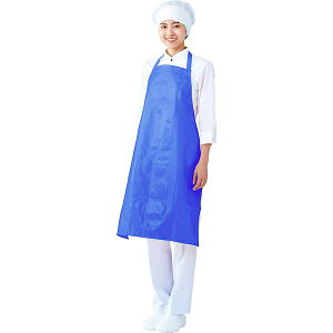 y12/10IIōő100|CgobNz4991097161100 RE P[^OEFA Ci[hCGv | u[ E1610|1 Ci[hCGv| 