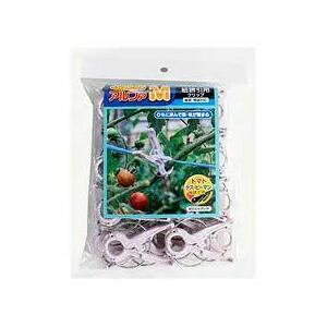 4540427001236 V[ At@M  AM|P24 24P