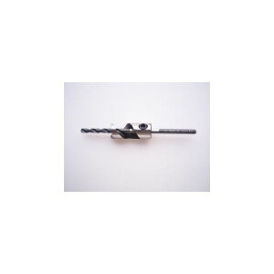 N_ 062080 HcMl i z[TCY ؍Hp K×A^ pTCY 20×8