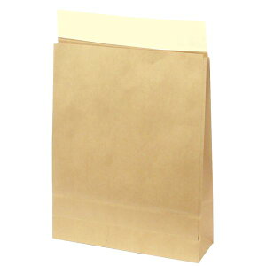 ササガワ タカ印 32-1493 宅配袋 未晒 中 10枚 321493