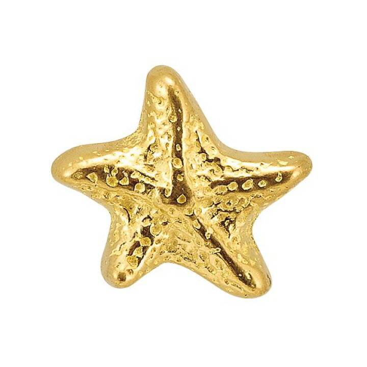 楽天市場 ゴーリキアイランド 6427 真鍮製ツマミ キャラクターシリーズ 金色 ヒトデs 真鍮 取手 家具ツマミ アンティーク レトロ 北欧 つまみ6427 測定器 工具のイーデンキ