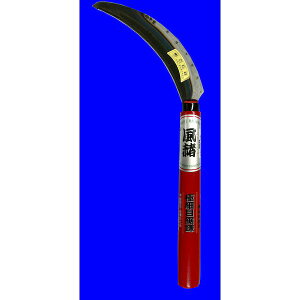 zEl~L HR-081  ɍזڋ HR081 |  G 抙  |pi _