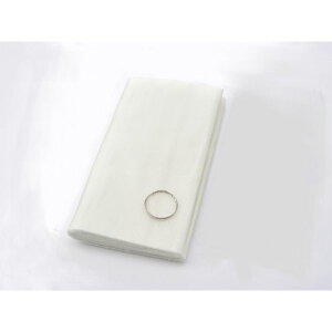 (LINE�N�[�|���L)�f�C�g�i DAYTONA 96252 �O���X�E�[��L 330mm×900mm �O���X�E�[��L�T�C�Y �����O���X�E�[�� �ėp �f�C�g�i�O���X�E�[��L�T�C�Y