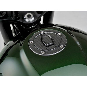 fCgi DAYTONA 98178 t[GLbvpbh |beBO^Cv KAWASAKI t[GCAP t[GCAPPADJ[{KAWASAKI