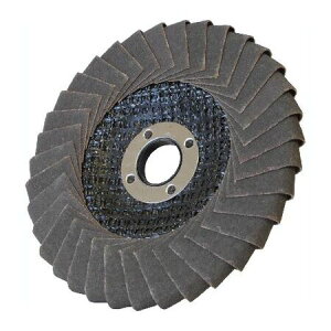 (LINE�N�[�|���L)���i�Z EX-G007 EX�f�B�X�N FRP�E�n�����p ��120 ���d�� EXG007