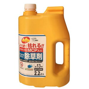 [LY F061 GR o^MCPyLZsz