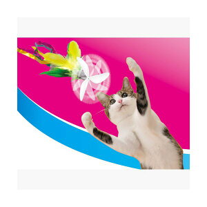 (LINE�N�[�|���L)�y�e�B�I 4903588234460 �Ղ�؂炶��炵�O���[���t�F�U�[