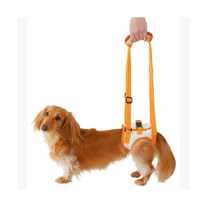 yeBI 4903588236280 ZNs⏕n[lX㑫pKM