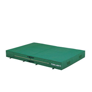 (LINE�N�[�|���L)�g�[�G�C���C�g TOEI LIGHT 4518891262026 �O�����E2�c��2×3×0�D5�J�o�[ G1547A