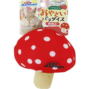 hM[} 4976555248326 ETMႨ₳p_CX̂