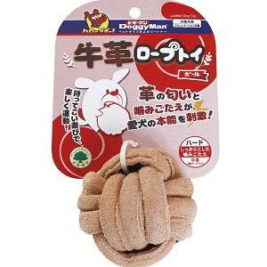 hM[} 4976555857320 v[vgC{[