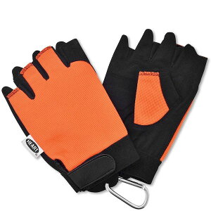 y12/10IIōő100|CgobNz4534893155159 n[gtWp Uy t[ HT|G02