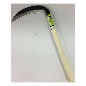 y12/5IIōő100|CgobNz4986653707304 ЎR  rj[TbN 180MM 605020