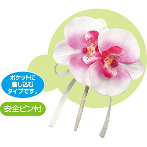 y11/25IIōő100|CgobNzA[ebN ArTec 085047 RT[W Ӓ sN 4521718850474 RT[WӒ Cxg Ǝ  w  ct