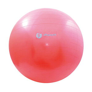 (LINE�N�[�|���L)4982724170268 PROMARK TPT0268 �o�����X�{�[�� ���x��2 65cm �F�F���b�h �v���}�[�N �T�N���C�f�� RD SAKURAI �g���[�j���O �t�B�b�g�l�X ���f�B�[�X