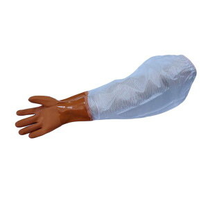 OdwH ~G[u 4978797007495 y5z 炩No5O MTCY NoD801