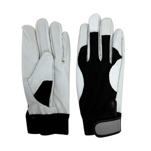 OdwH ~G[u 4978797013403 y10z }bXU[ MTCY NoD905