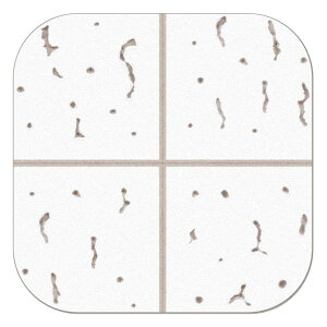 y11/25IIōő100|CgobNzqTS 4902668607644 OP4001 V{[h̕CɁI VV[ Wvg[NX