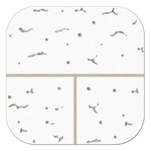 qTS 4902668607651 OP4002 V{[h̕CɁI VV[ Wvg[T