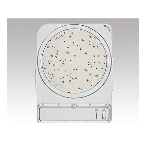 AY 2-8998-05 RpNghC 06740 TCy1(4×10ܓ)z 2899805 