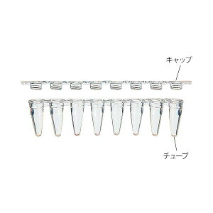 (LINE�N�[�|���L)�A�Y���� 3-9992-02 PCR�`���[�u3145�|00 125�{�y1�p�b�N(125�Z�b�g��)�z 3999202