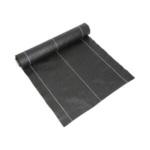 4977292663700 ZteB|3 xhV[g  0D5MX10M