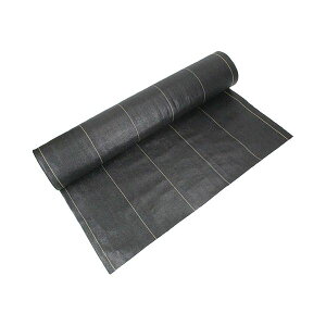 4977292663793 ZteB|3 xhV[g  1MX50M