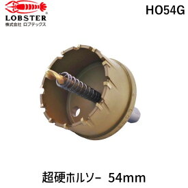 【あす楽対応】「直送」ロブテックス HO54G 超硬ホルソー チタンコーティング 54mm