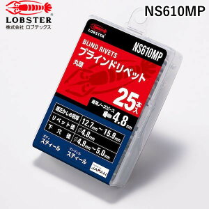 ���u�e�b�N�X NS610MP �u���C���h���x�b�g �X�e�B�[���^�X�e�B�[���� 6�|10 25�{�� �G�R�p�b�N 25��