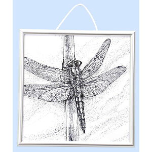 A[ebN ArTec 005065 _`t[`