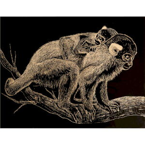 (LINEN[|L)A[ebN ArTec 013887 S[hXNb`{[h ^bNt[t